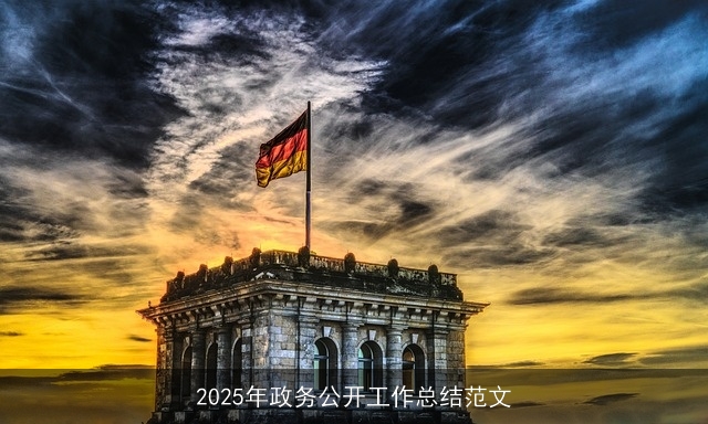 2025年政务公开工作总结范文 2025年政务公开工作总结范文