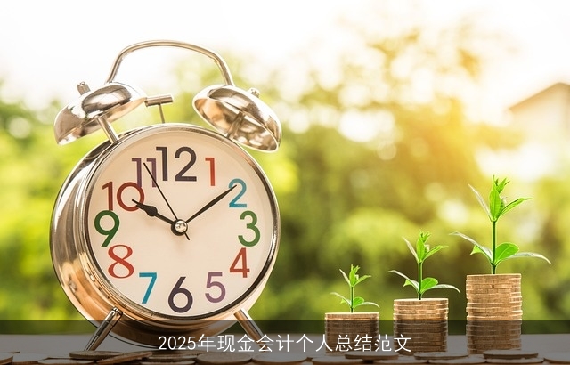 2025年现金会计个人总结范文 2025年现金会计个人总结范文