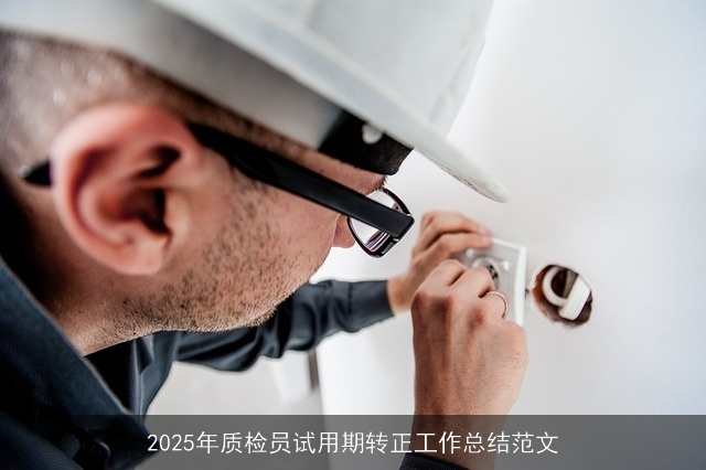 2025年质检员试用期转正工作总结范文 2025年质检员试用期转正工作总结范文