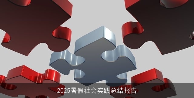 2025暑假社会实践总结报告 2025暑假社会实践总结报告