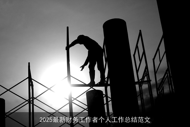 2025最新财务工作者个人工作总结范文 2025最新财务工作者个人工作总结范文
