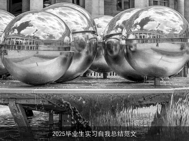 2025毕业生实习自我总结范文 2025毕业生实习自我总结范文