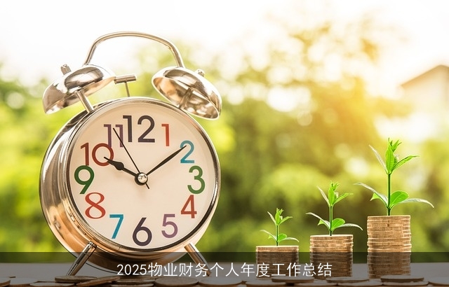 2025物业财务个人年度工作总结 2025物业财务个人年度工作总结