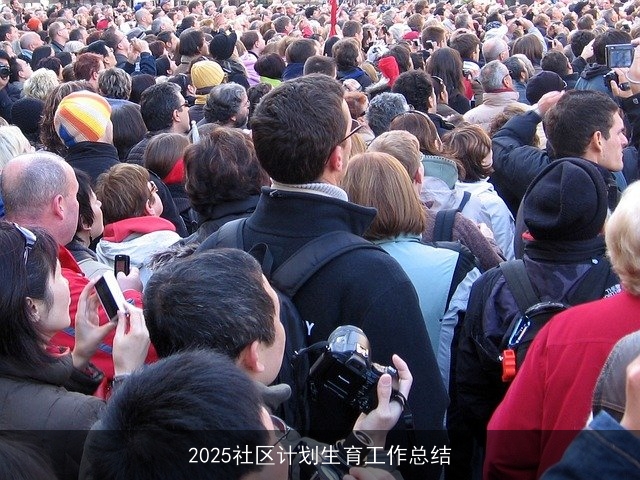 2025社区计划生育工作总结 2025社区计划生育工作总结