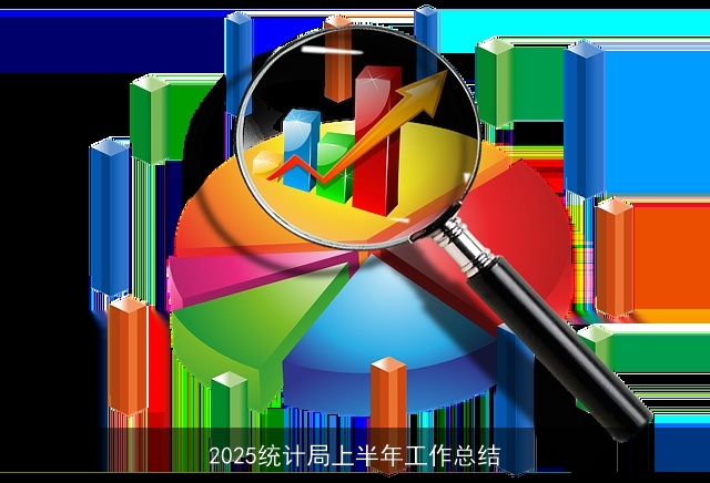 2025统计局上半年工作总结 2025统计局上半年工作总结