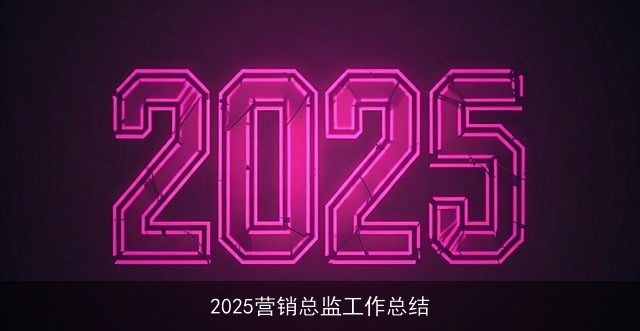 2025营销总监工作总结 2025营销总监工作总结