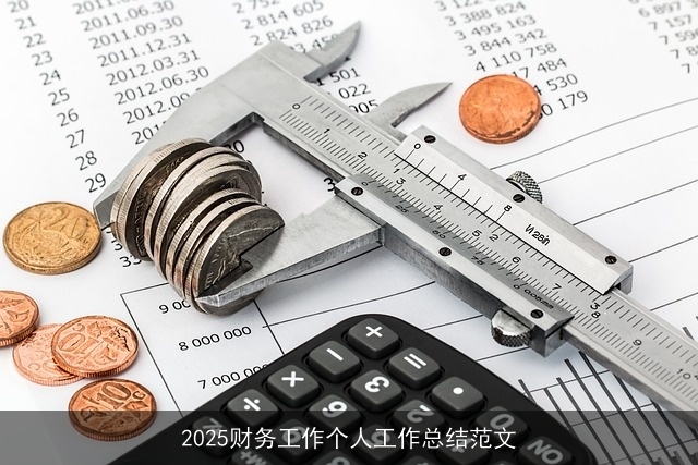 2025财务工作个人工作总结范文 2025财务工作个人工作总结范文