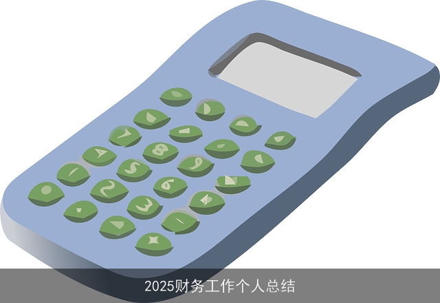 2025财务工作个人总结 2025财务工作个人总结