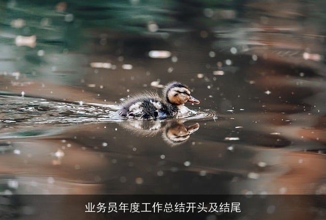 业务员年度工作总结开头及结尾 业务员年度工作总结开头及结尾