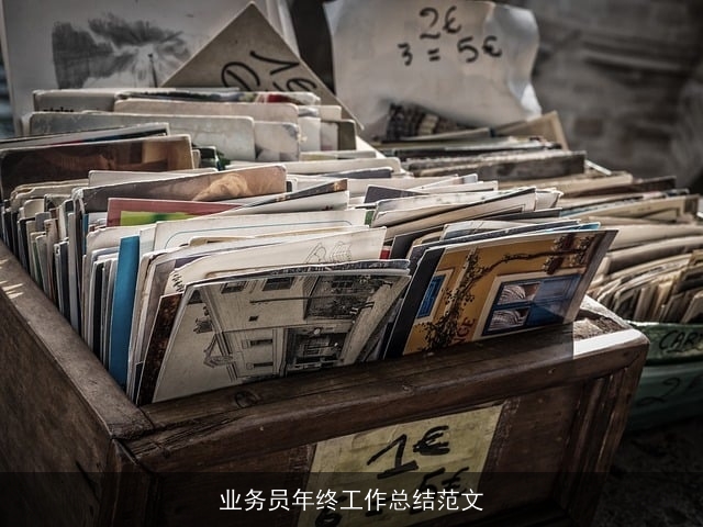 业务员年终工作总结范文 业务员年终工作总结范文