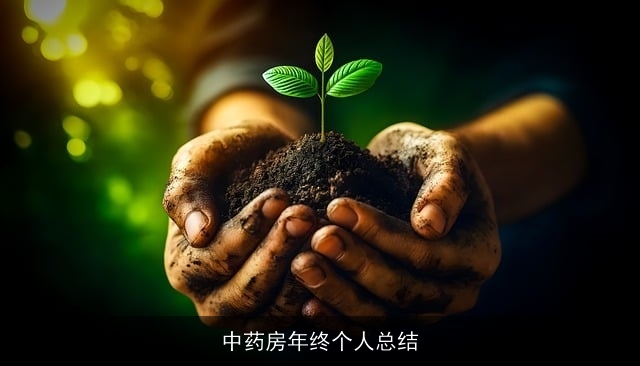 中药房年终个人总结 中药房年终个人总结
