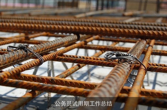 公务员试用期工作总结 公务员试用期工作总结