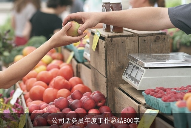 公司话务员年度工作总结800字 公司话务员年度工作总结800字