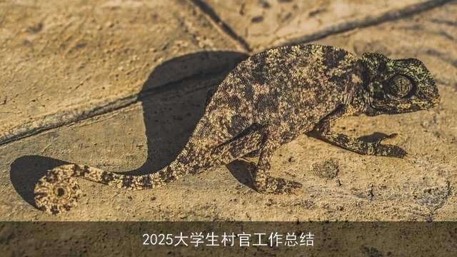 2025大学生村官工作总结 2025大学生村官工作总结