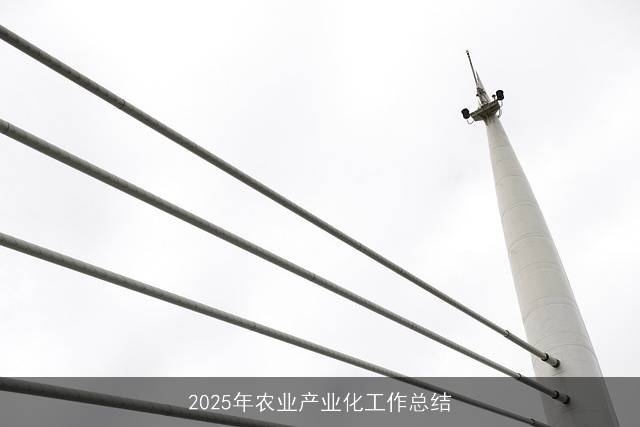 2025年农业产业化工作总结 2025年农业产业化工作总结
