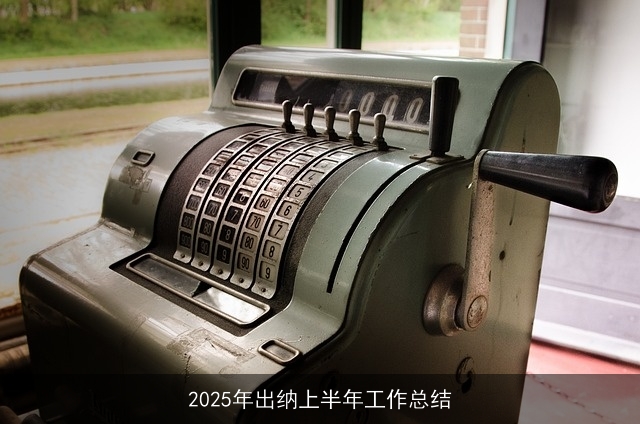 2025年出纳上半年工作总结 2025年出纳上半年工作总结