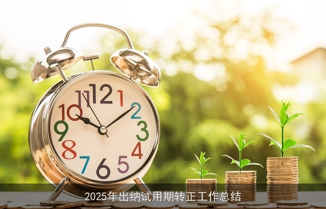 2025年出纳试用期转正工作总结 2025年出纳试用期转正工作总结