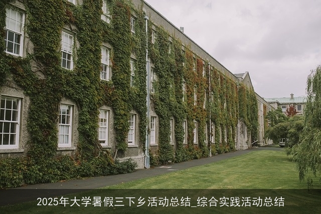 2025年大学暑假三下乡活动总结_综合实践活动总结 2025年大学暑假三下乡活动总结_综合实践活动总结