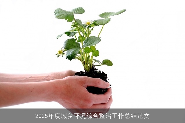2025年度城乡环境综合整治工作总结范文 2025年度城乡环境综合整治工作总结范文