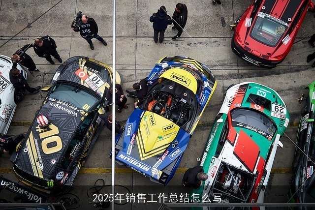 2025年销售工作总结怎么写 2025年销售工作总结怎么写
