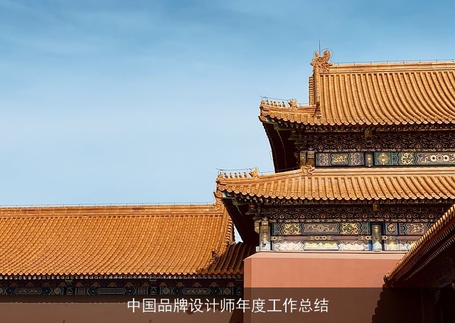 中国品牌设计师年度工作总结 中国品牌设计师年度工作总结