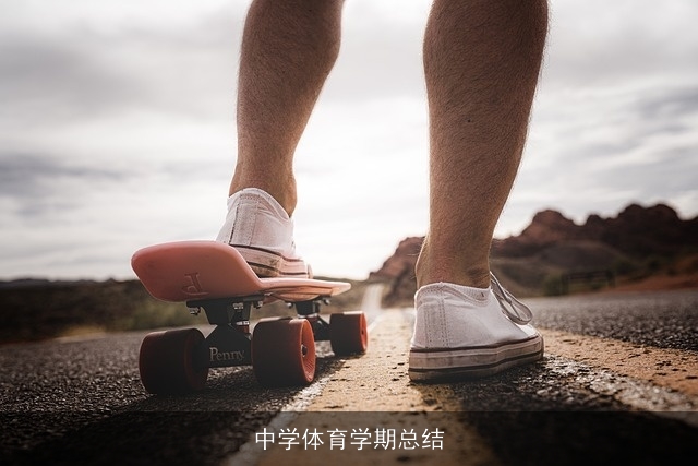 中学体育学期总结 中学体育学期总结