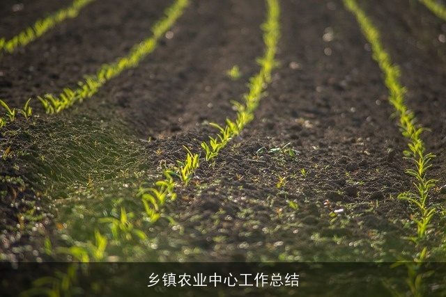 乡镇农业中心工作总结 乡镇农业中心工作总结
