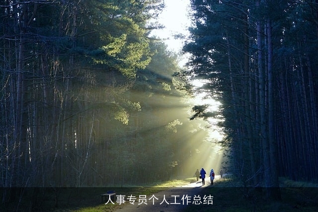 人事专员个人工作总结 人事专员个人工作总结