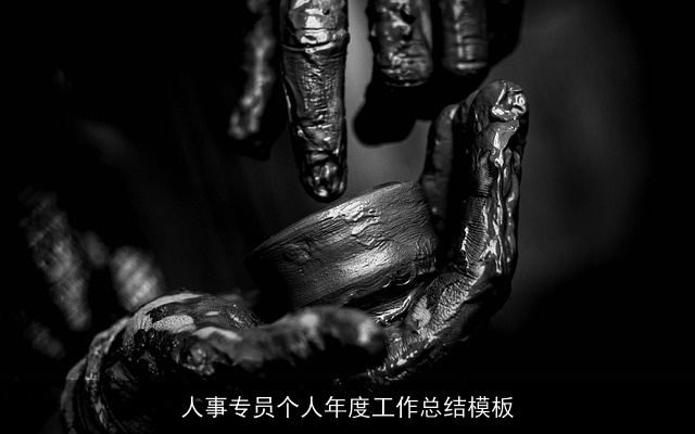 人事专员个人年度工作总结模板 人事专员个人年度工作总结模板