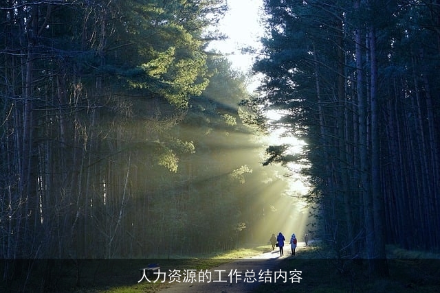 人力资源的工作总结内容 人力资源的工作总结内容