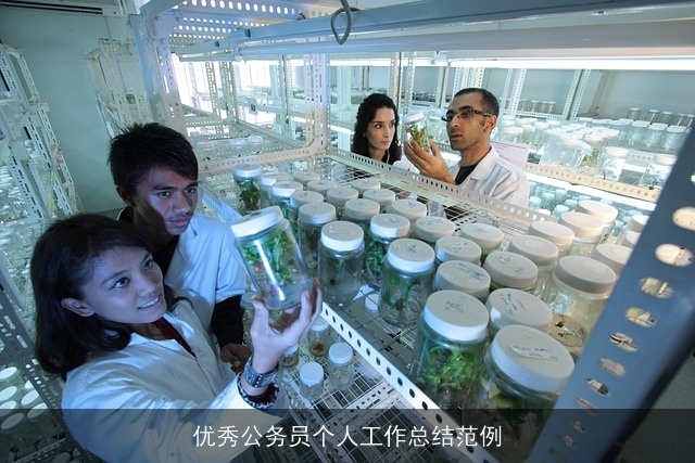 优秀公务员个人工作总结范例 优秀公务员个人工作总结范例