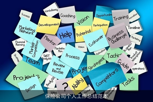 保险公司个人工作总结范本 保险公司个人工作总结范本