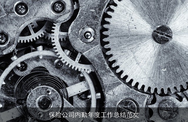 保险公司内勤年度工作总结范文 保险公司内勤年度工作总结范文