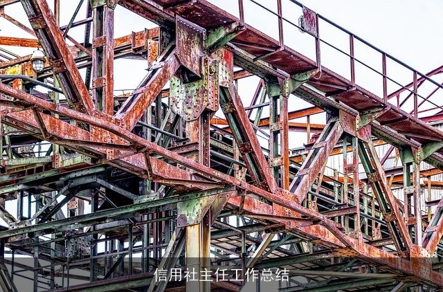 信用社主任工作总结 信用社主任工作总结