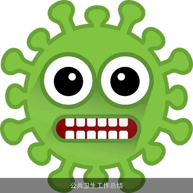 公共卫生工作总结 公共卫生工作总结