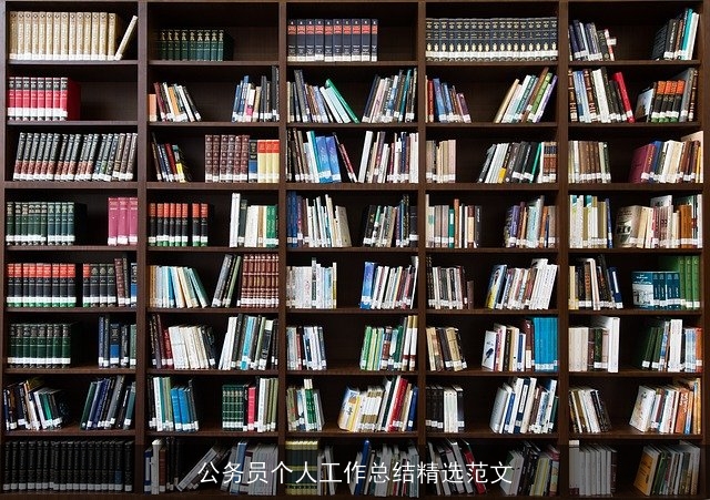 公务员个人工作总结精选范文 公务员个人工作总结精选范文