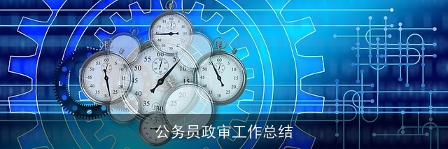 公务员政审工作总结 公务员政审工作总结