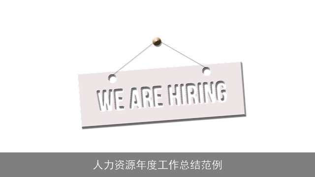 人力资源年度工作总结范例 人力资源年度工作总结范例