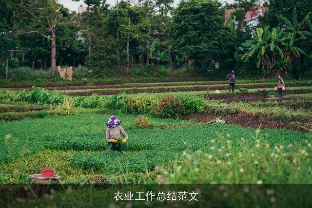 农业工作总结范文 农业工作总结范文