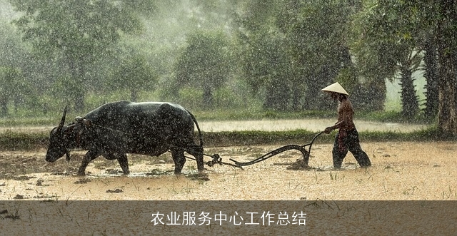 农业服务中心工作总结 农业服务中心工作总结