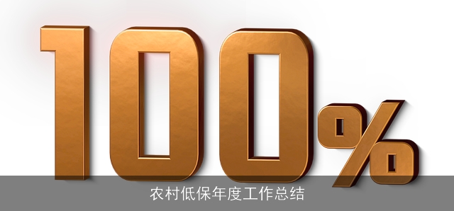 农村低保年度工作总结 农村低保年度工作总结