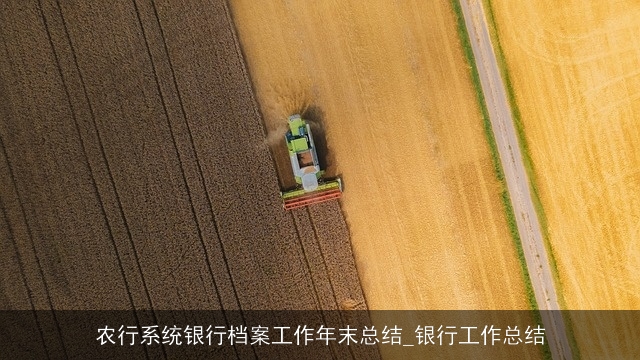 农行系统银行档案工作年末总结_银行工作总结 农行系统银行档案工作年末总结_银行工作总结