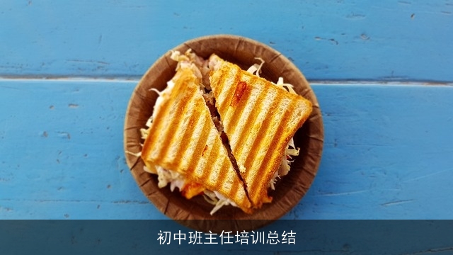 初中班主任培训总结 初中班主任培训总结