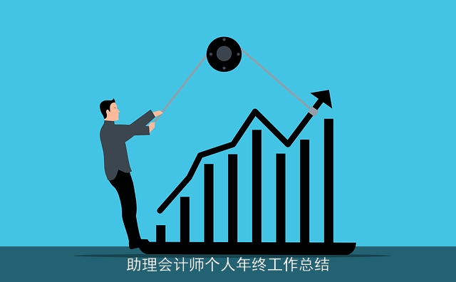 助理会计师个人年终工作总结 助理会计师个人年终工作总结