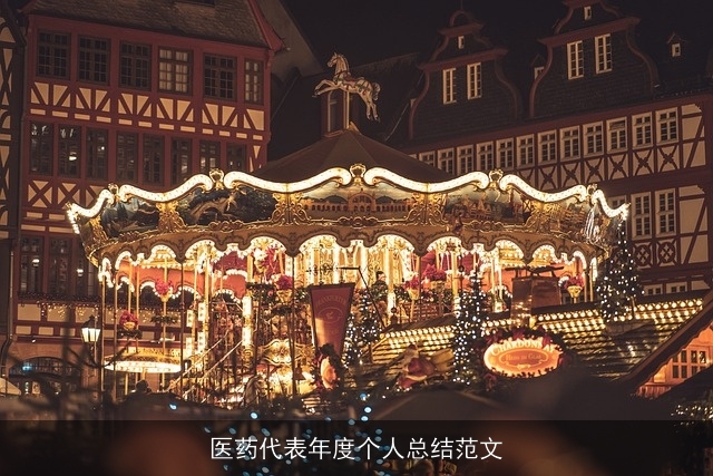 医药代表年度个人总结范文 医药代表年度个人总结范文