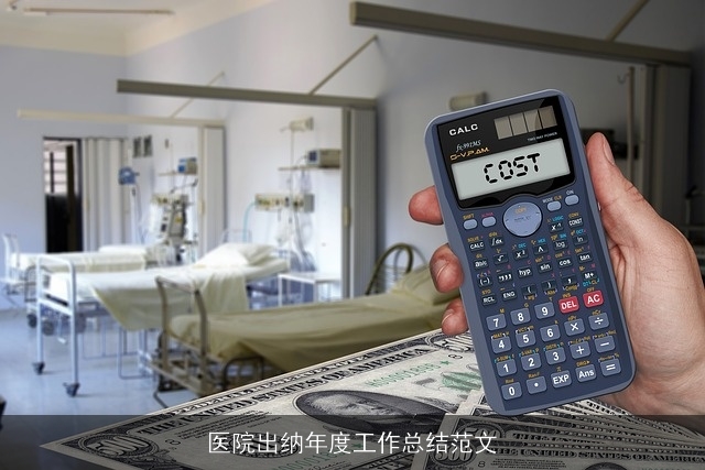 医院出纳年度工作总结范文 医院出纳年度工作总结范文