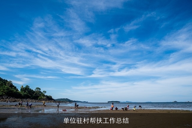 单位驻村帮扶工作总结 单位驻村帮扶工作总结