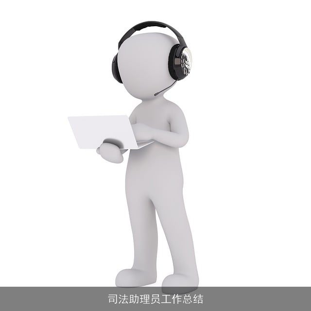 司法助理员工作总结 司法助理员工作总结