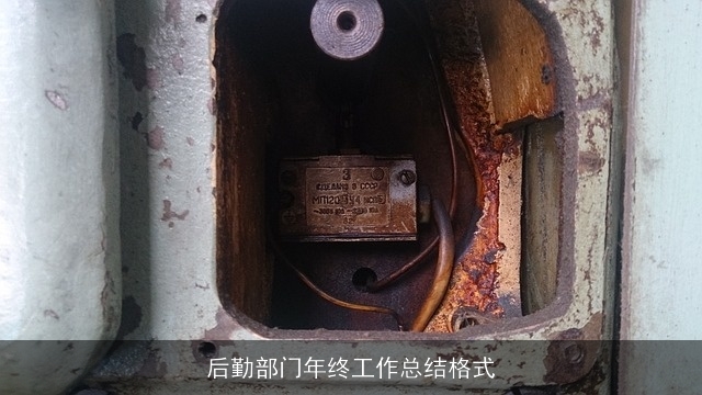 后勤部门年终工作总结格式 后勤部门年终工作总结格式