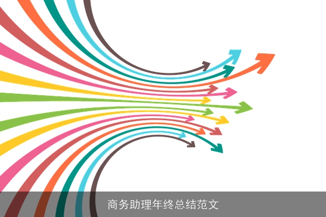 商务助理年终总结范文 商务助理年终总结范文